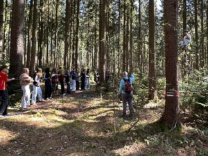 Teamarbeit im Wald
